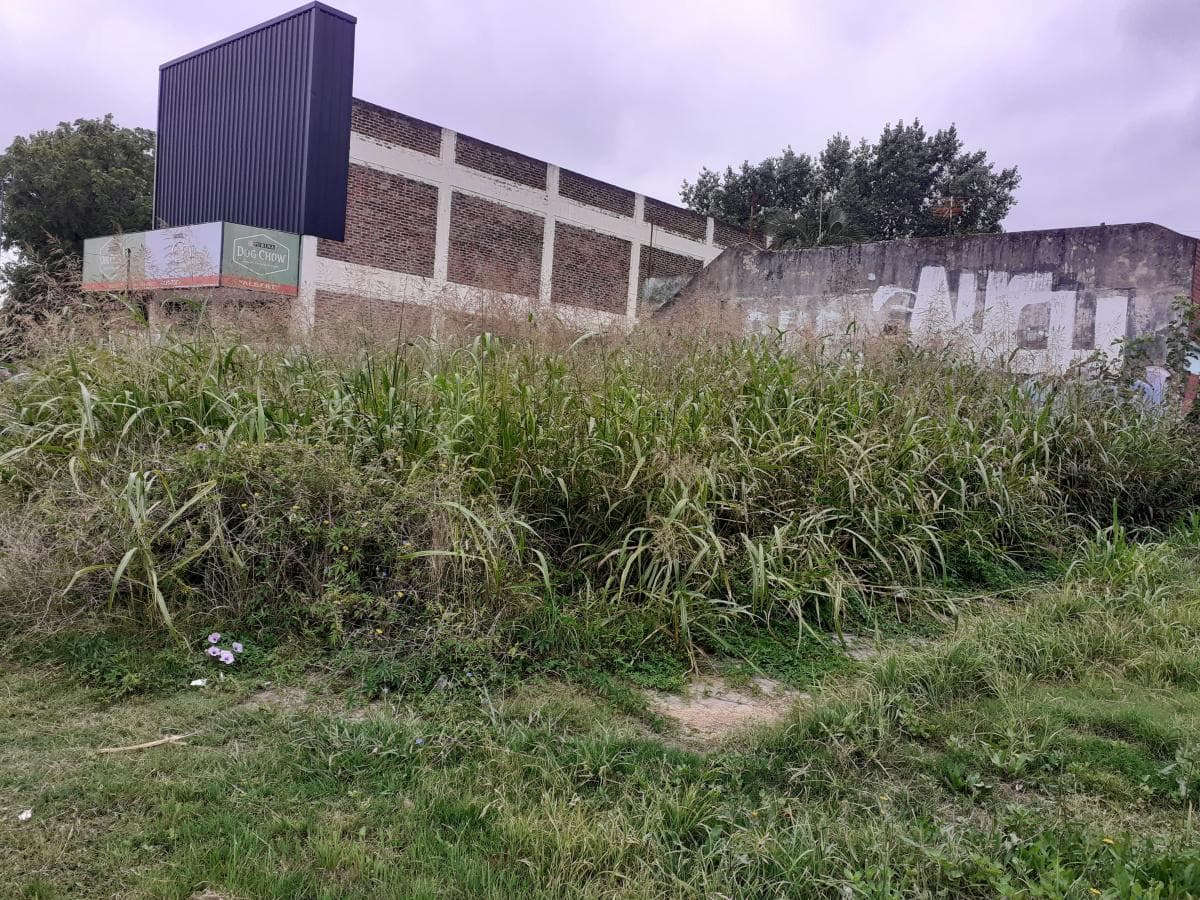 Imagen de la propiedad