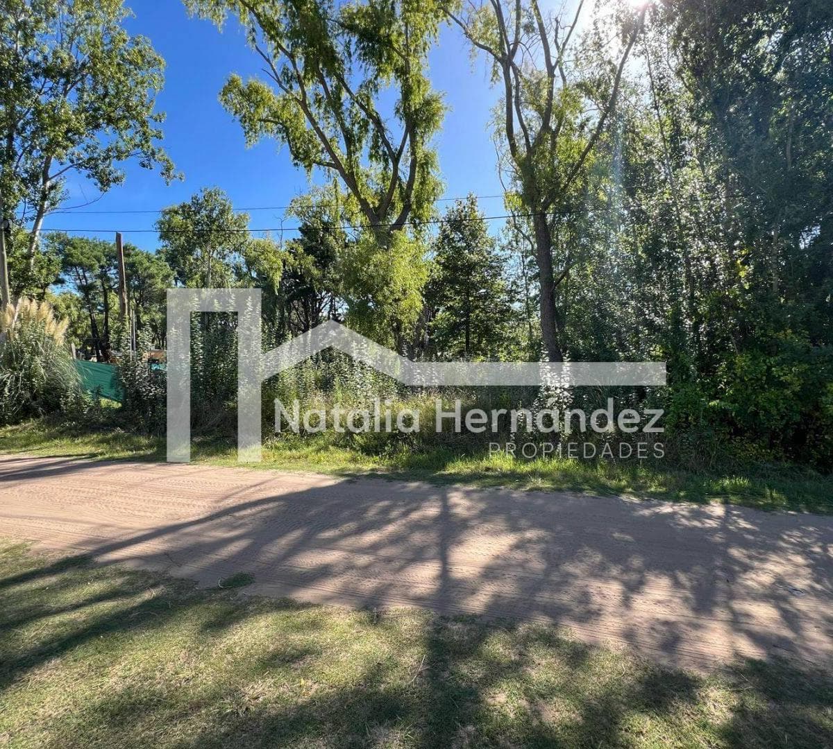 Imagen de la propiedad