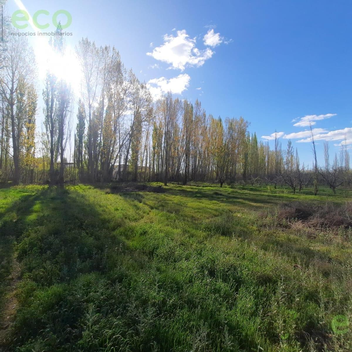 Eco Alquila 2,5 Hs a 300 m de Carlos Isla Ruta 151 Cipolletti 3
