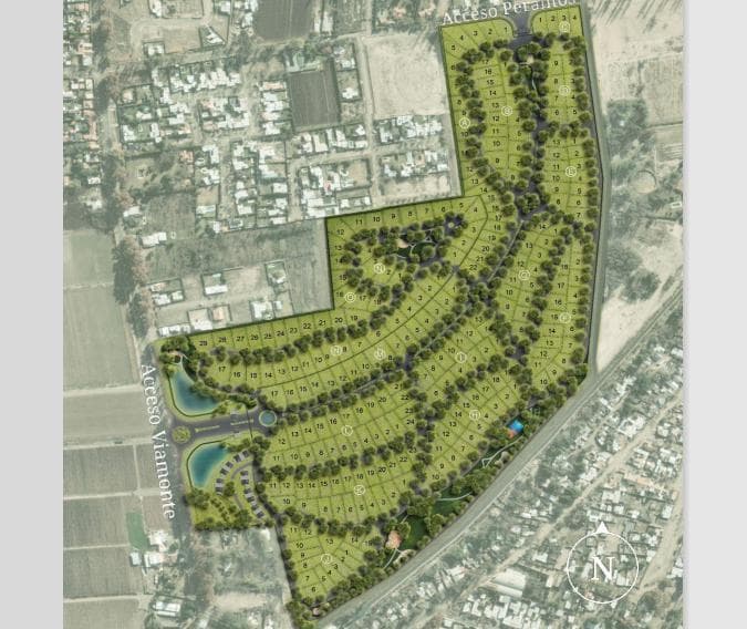 Plano 4