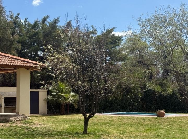 Alquiler | Lujan de Cuyo | B° La Capilla | 3 Dormitorios | Pileta + Jardín 4