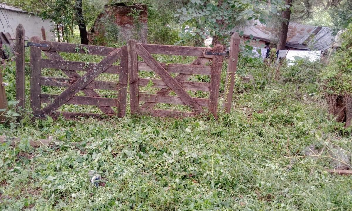 Imagen de la propiedad