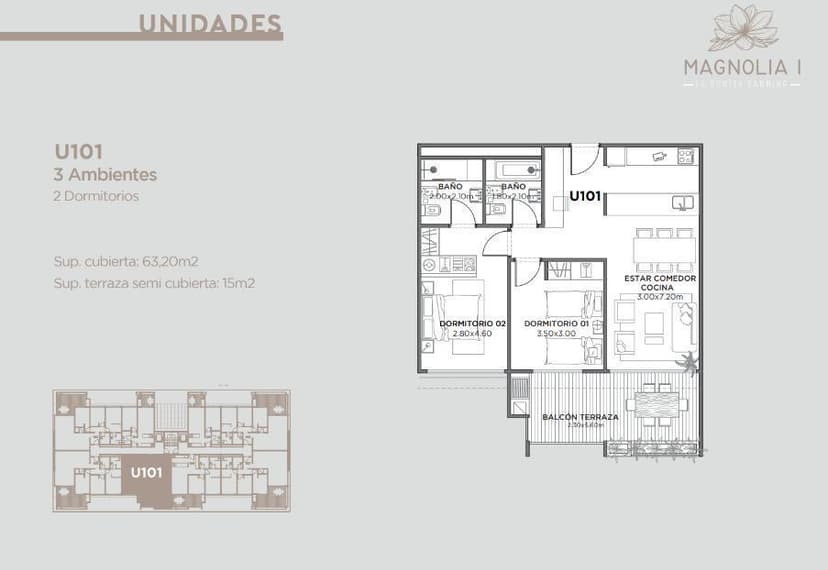 Plano 6