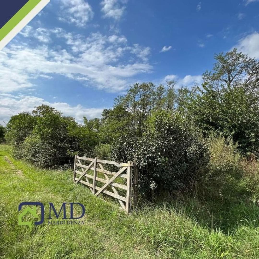 Imagen de la propiedad