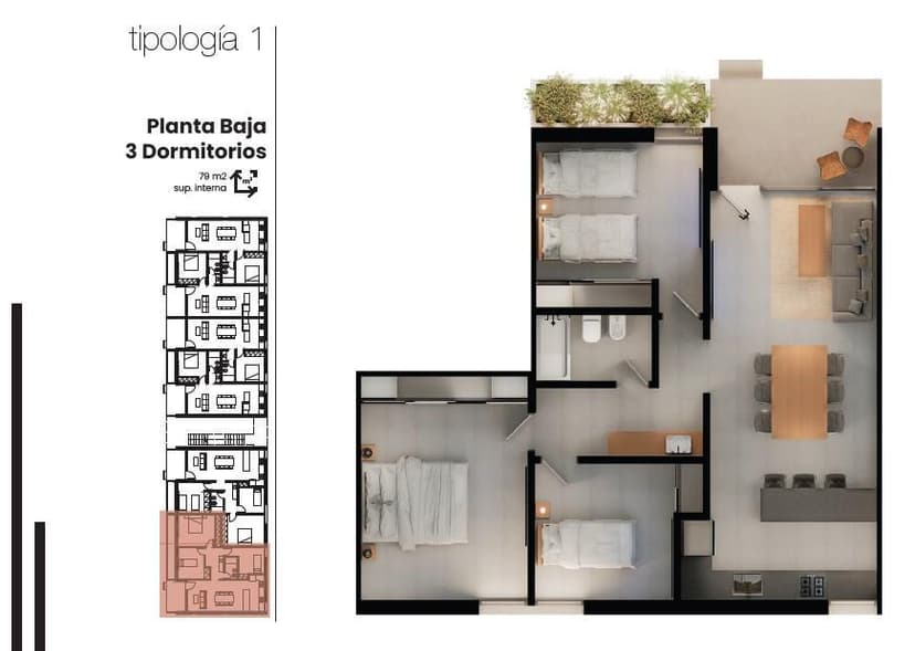 Plano 6