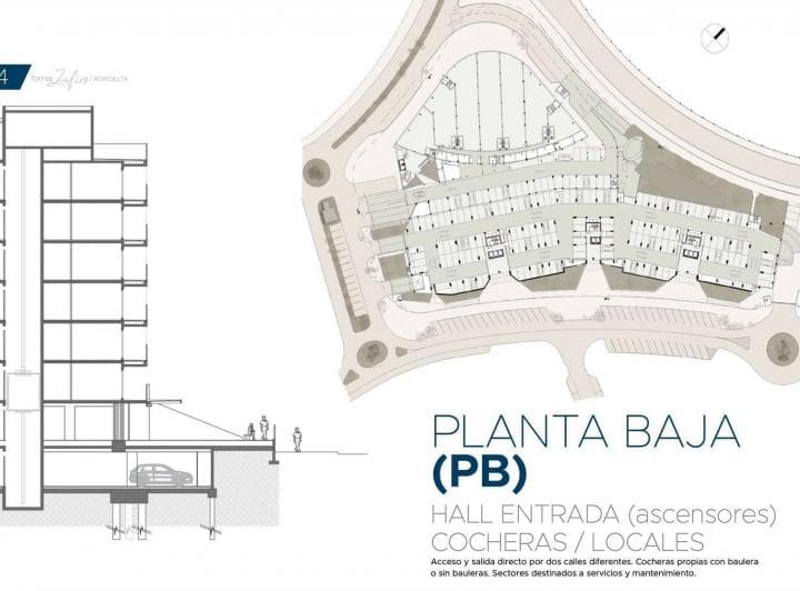 Plano 8