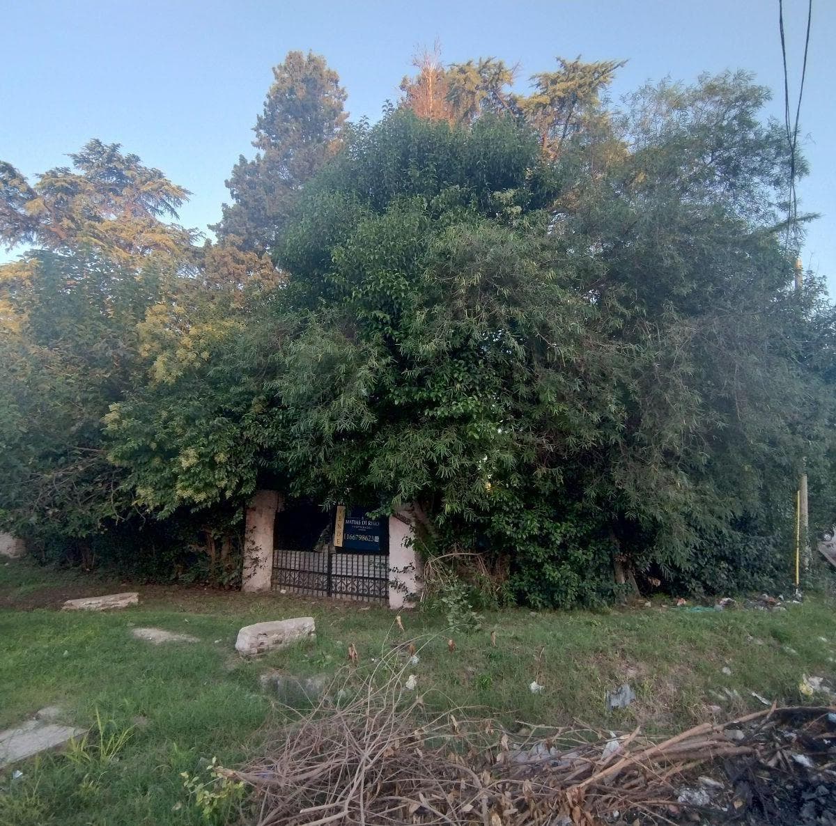 Imagen de la propiedad