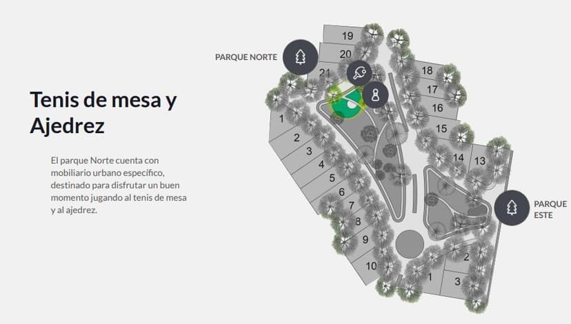 Plano 6
