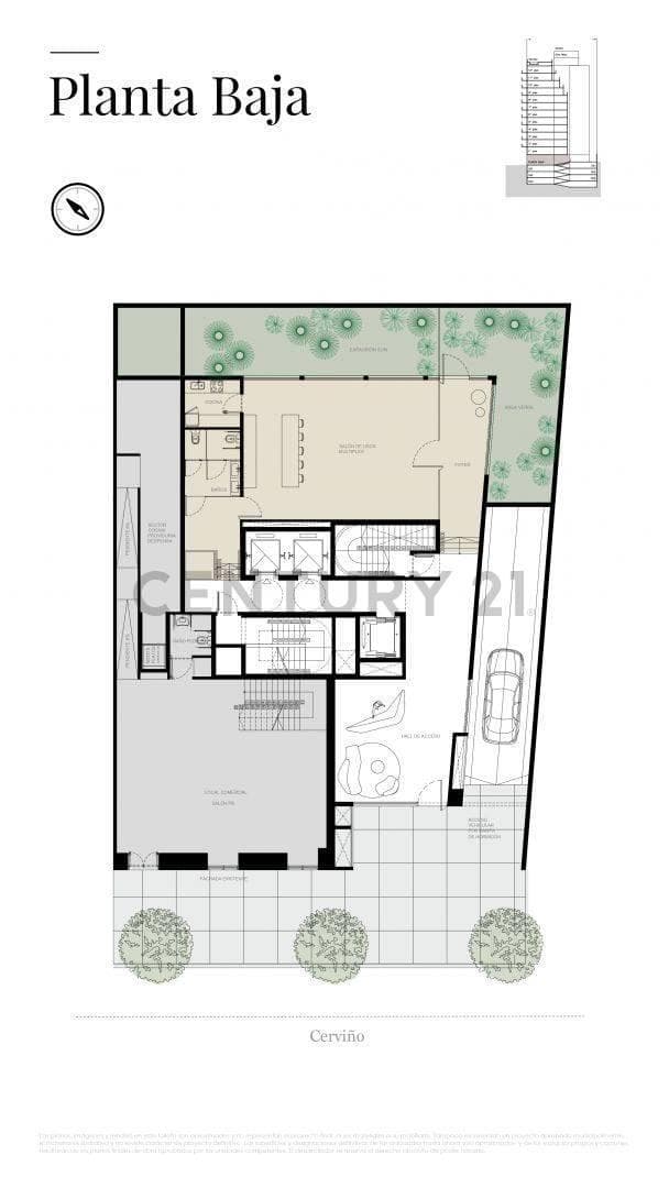 Plano 6