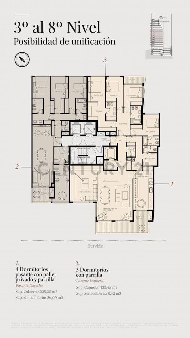 Plano 10