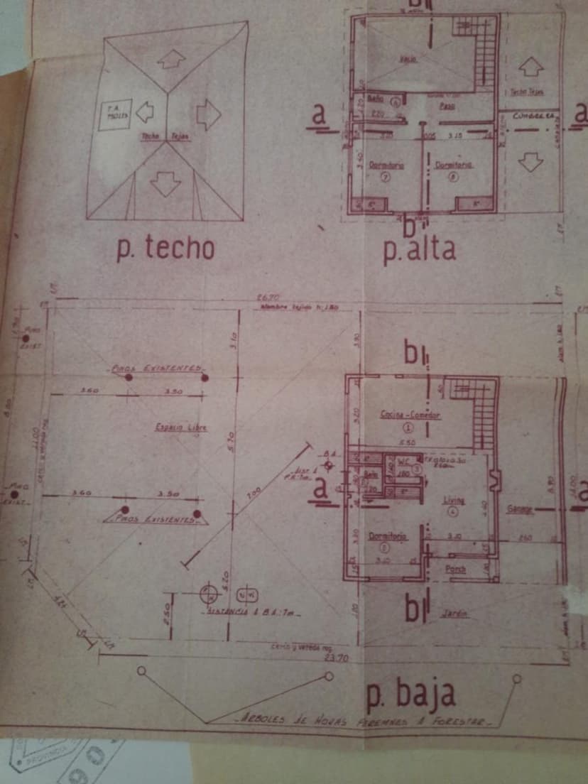 Plano 1