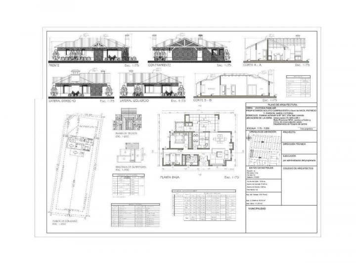Plano 1