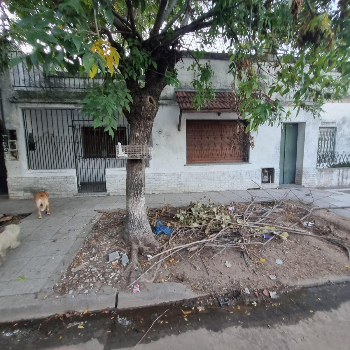 Propiedad en Argentina