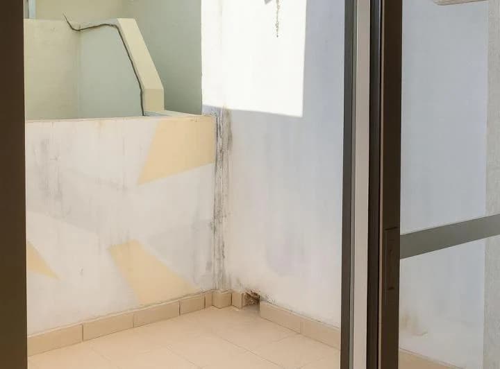 Alquiler departamento en dpx., Av. Centenario San Isidro 2