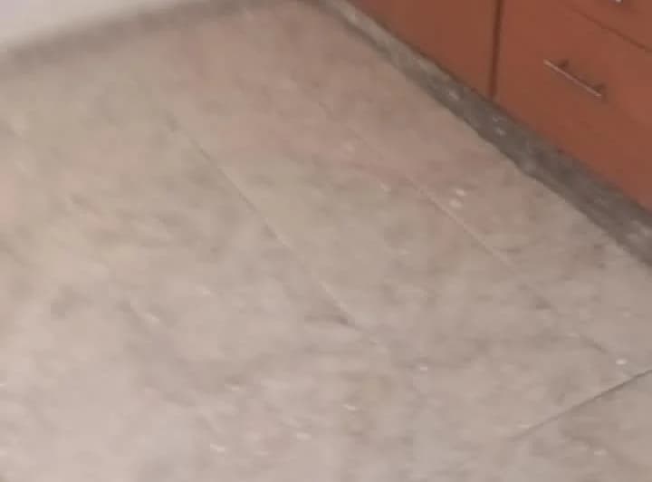 Nuevo alquiler 2