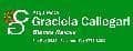 Arquitecta Graciela Callegari, Bienes Raíces 