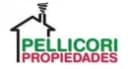 Pellicori Propiedades