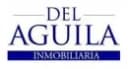 Inmobiliaria Del Aguila