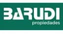 BARUDI Propiedades