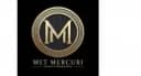 Met Mercuri Propiedades