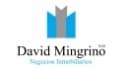 DAVID MINGRINO  SAS