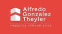 I.ALFREDO GONZALEZ THEYLER