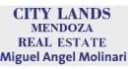 CITY  LANDS