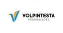 Volpintesta