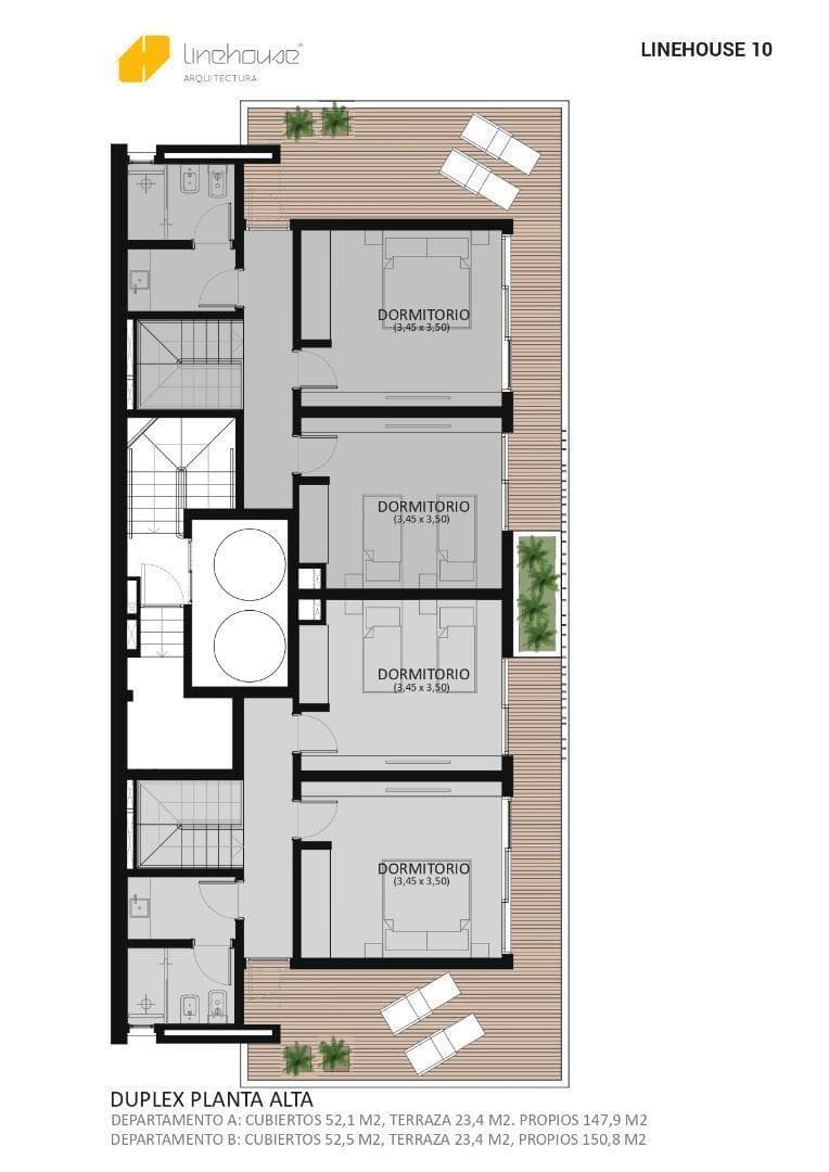 Plano 6