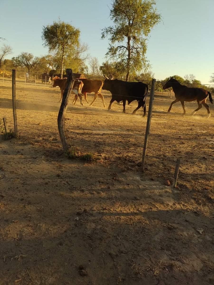 Propiedad en Argentina