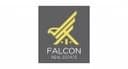 Falcon Real Estate